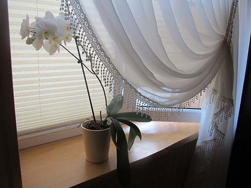 Kliknij, aby powi�kszy�.