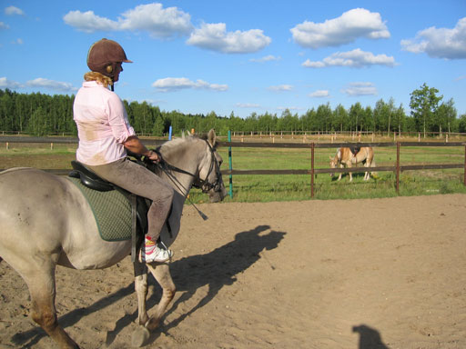 Kliknij, aby powi�kszy�.