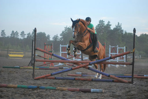 Kliknij, aby powi�kszy�.