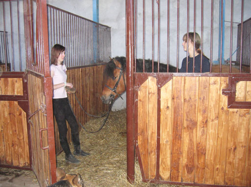 Kliknij, aby powi�kszy�.