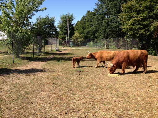 Kliknij, aby powi�kszy�.