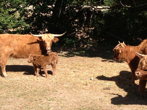 Kliknij, aby powi�kszy�.