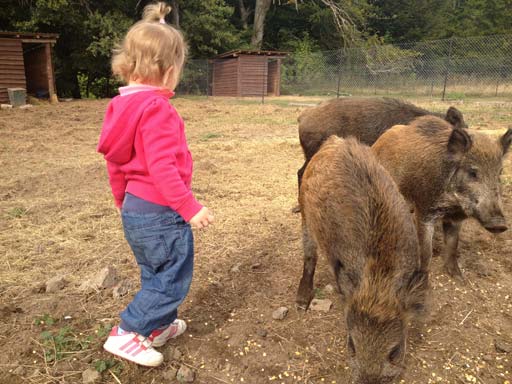 Kliknij, aby powi�kszy�.