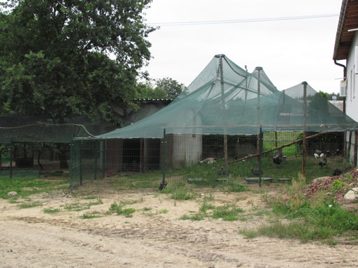 Kliknij, aby powi�kszy�.