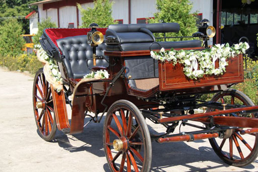 Kliknij, aby powi�kszy�.