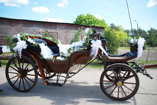 Kliknij, aby powi�kszy�.