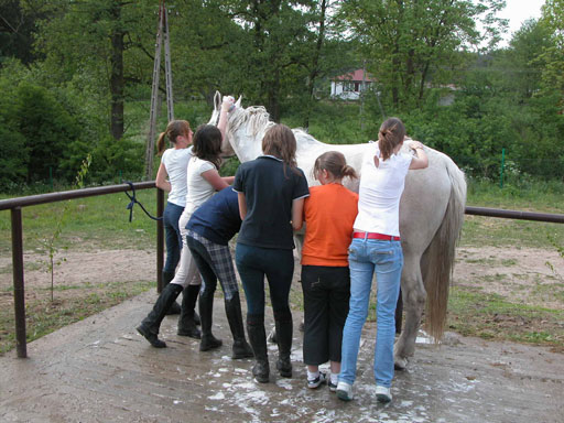 Kliknij, aby powi�kszy�.