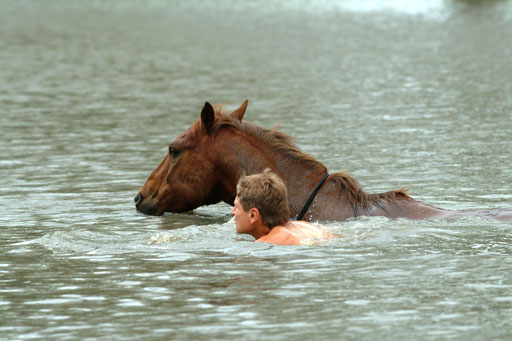 Kliknij, aby powi�kszy�.