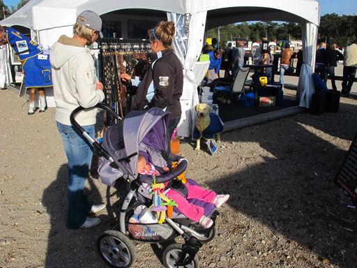 Kliknij, aby powi�kszy�.