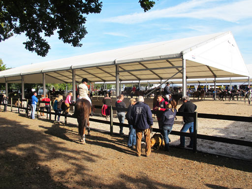 Kliknij, aby powi�kszy�.