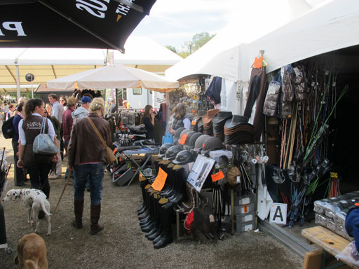 Kliknij, aby powi�kszy�.