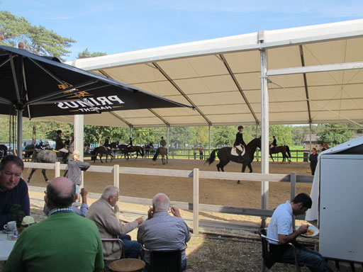 Kliknij, aby powi�kszy�.