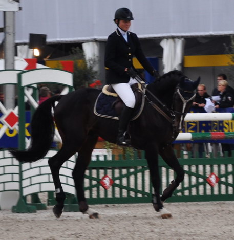 Kliknij, aby powi�kszy�.