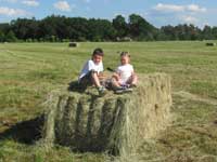 Kliknij, aby powiększyć.