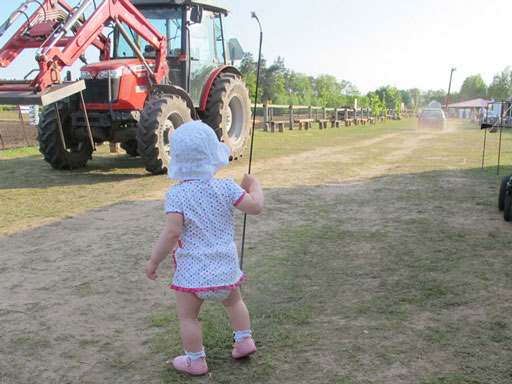 Kliknij, aby powi�kszy�.