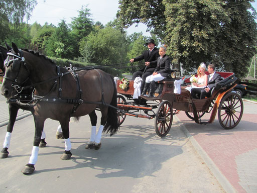 Kliknij, aby powi�kszy�.