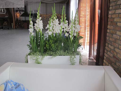 Kliknij, aby powi�kszy�.